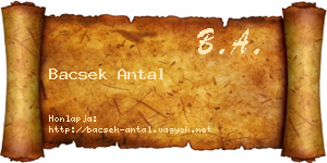 Bacsek Antal névjegykártya