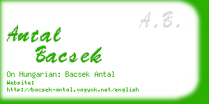 antal bacsek business card